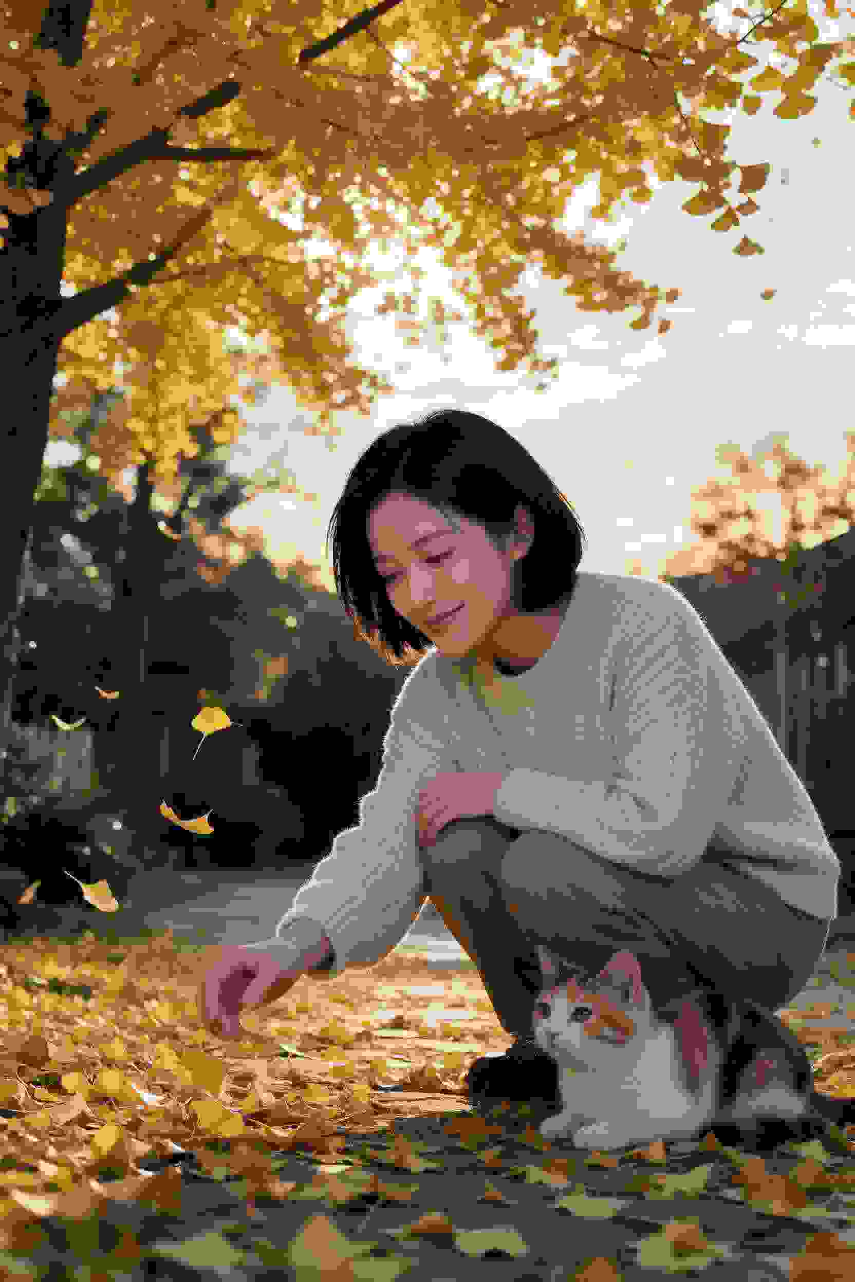 谜踪密室